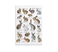 YAPING North American Rabbits Mural moderne pour la maison, cuisine, dortoir, chambre d'enfant, 30 x 45 cm
