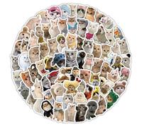 YAPKOLV 103 Pièces Stickers Drôles Chat Meme, Autocollants pour Adultes et Enfants, Stickers pour Voiture, Ordinateur Portable, Skateboard, Vélo, Mobylette, Moto, PC