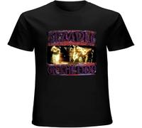 YAQINUO Men's T Shirt Temple of The Dog Twin Needle Sleeves and Hem Black L