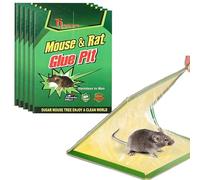 YARANY Piège à Souris et Rats - Plaques de Glu Ultra Collantes | Piège à Colle sans Poison, Attrape Souris Efficace, Anti Rongeurs Intérieur/Extérieur, Non Toxique et Jetable, Lot de 5 Plaques - Vert