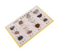 Yardenfun 12 Pièces Spécimens de Minéraux et Roches pour Laboratoire Affichage Portable et Collection pour Cours de Géologie et