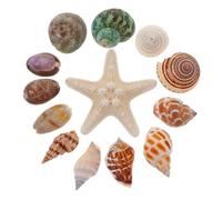Yardenfun 13 Pièces Décoration de Coquillages Naturels pour Aquarium Art et Bricolage Ornements Nautiques pour Maison et Terrarium