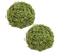 Yardenfun 2 Pièces de Mousse Artificielle Décoration DIY pour Maison et Centre Commercial de Plante Simulées pour Événements et Ambiances Naturelles