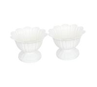 Yardenfun 2 Pièces Succulent Planters Hydroponic Flower Pots for Balcony Gardening Compact Pedestal Containers for Small Spaces and Creative Home Decor