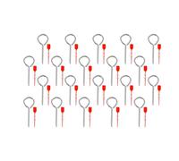 Yardenfun 20 Ensembles Kit de Goupilles de Sécurité pour Extincteur avec Scellements Plastiques Accessoires Légers pour Protection Anti-déclenchement Maison Bureau et Véhicule