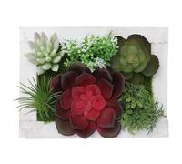 Yardenfun Décoration murale succulente Cadre photo décoratif avec plante artificielle 1 pièce décoration murale pour la maison et le bureau avec design réaliste et plante factice en bois et