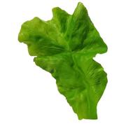 Yardenfun Laitue Artificielle Simulation Décorative Laitue Faux Plastique Accessoire de Décoration pour Maison et Restaurant Modèle Réaliste de Légume pour Photos et Décorations de Fête