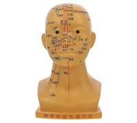 Yardenfun Modèle de Tête Humaine Acupuncture 20 CM Cuivre Modèle Pédagogique de Points D’Acupuncture et Massage Facial Outil D’Apprentissage pour École Maison et Laboratoire