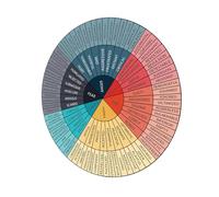 Yardenfun Sticker Mural Éducatif Roue des Émotions Colorée pour Psychothérapeutes et Travailleurs Sociaux Décoration Murale pour Chambre Bureau et Salle Étude