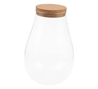 Yardenfun Terrarium en Verre Écologique pour Micro-Paysage, Bouteille DIY pour Bryophytes Et Betta, Décor Intérieur 20x14 Cm Bouchon en Bois, Contenant Multifonction pour Plantes Et Mousse