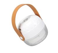 Yardenfun Tondeuse Électrique Rechargeable USB Mini Éliminateur de Peluches Blanc Compact Rasoir pour Vêtements et Pulls Appareil Portable pour Tissus et Canapé 1 Pièce