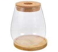 Yardenfun Vase Verre Transparent pour Plantes Succulentes Pot Décoratif Hydroponique Polyvalent pour Mariage et Bureau Design Simple et Fonctionnel pour Fleurs Fraîches ou Séchées