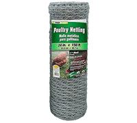 YARDGARD 0,6 x 3 m 2,5 cm en Maille Filet de volaille