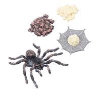 Yardwe 1 Ensemble Jouets d'éducation aux Sciences animales Cycle de Vie des Chiffres modèle de Cycle de Vie éducatif Aides à l'enseignement décors de Jardin Plastique