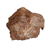 Yardwe 1pièce Décoration Aquarium Résine Cave De Cachette Forme De Crâne pour Poissons Ornement Paysager Pierre pour Aquarium Et Terrarium