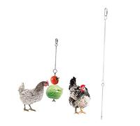 Yardwe 1pièce Fourchette à Fruits Acier Inoxydable pour Oiseaux Jouet Suspendu Pratique pour Perroquets Et Petits Oiseaux Accessoire Et Interactif pour Manger Et Jouer
