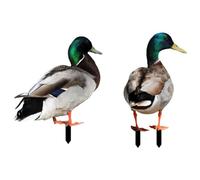 Yardwe 2 Pièces Déco Jardin Canard Piquets De Canard en Acrylique Piquet De Canard Piquets d'animaux en Acrylique Signes De Canard Acrylique Piquets Extérieurs Canards Accessoires UV