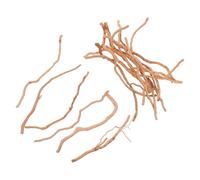 Yardwe 20 Pièces Branche Naturelle en Bois Massif pour Aquarium d'eau Douce, Décoration Facile à Entretenir Morceaux de Branches pour Paysage Aquatique Agréable