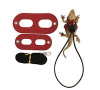 Yardwe 2ensemble De Traction pour Lézard De Cordes De Traction Réptiles Noir Rouge Système De Laisse pour Animaux De Compagnie sans Aile Accessoires pour Reptiles
