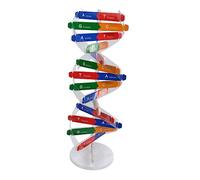 Yardwe 3 Ensembles Modèle de Gènes Humains Kit Éducatif Scientifique pour Garçon Fille DIY pour Apprentissage Ludique Créativité Couleur Aléatoire