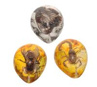 Yardwe 3 Pièces Spécimen D'Ambre D'Insecte Collection D'Échantillons Spécimen D'Insecte Pendentif en Ambre D'Insecte Ornement Ornement D'Insecte Bricolage