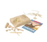 Yardwe Archéologie à Creuser pour Kit Éducatif de Fouille Archéologique Simulation de Dinosaure pour Développement Intellectuel