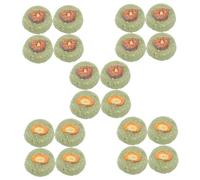 Yardwe Biscuit À Lherbe pour Animaux De Compagnie 20 Pièces Jouets À Mâcher Matériau Naturel Biscuit À Mâcher pour Petits Animaux De Compagnie Sûr Savoureux