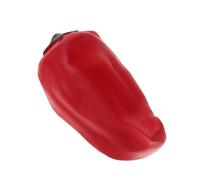 Yardwe Boîte à Clés Extérieure Cachée Forme de Piment Coffre-Fort Dissimulé pour Jardin Terrasse et Porche Rangement Sûr et Compact pour Clés de Secours