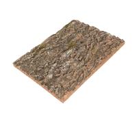 Yardwe Décor De Terrarium Écorce Naturelle pour Reptiles Arrière-Plan Liège pour Aquariums Et Terrariums Décoration Chic Et