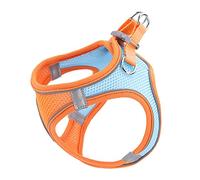 Yardwe Gilet Réfléchissant Et Laisse pour Chiens Et Chats Respirant pour Promenade Et Activités Extérieures Design Unique Et Parfait pour Exercices Quotidiens Et Fêtes