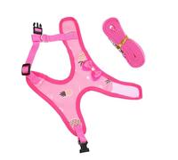 Yardwe Laisse pour Poule Harnais Corde de Traction Réglable Costume Adorable pour Coq Sangle de Sécurité pour Animaux de Compagnie