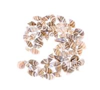 Yardwe Lot de 50 Coquillages Naturels Décoratifs De Conques, Artisanat De Coquillages, Petit Format, Couleur Vive, pour Décoration Maison Et Aquarium