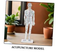 Yardwe Modèle Acupuncture Chinois Complet pour Formation Corps Humain Masculin Blanc Points de Pression Précis et Méridiens Outil Pédagogique pour Médecine Traditionnelle Chinoise