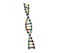 Yardwe Modèle d'Adn à Double pour Garçon et Filles Kit Éducatif Scientifique Modèle Moléculaire Sécurisé pour Cours de Apprentissage Expérimental 1 Kit Complet
