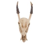 Yardwe Reptile Skull Hideout Resin for Snake Tank Turtle Habitat Stable Resin Cave Decoration for Reptile Terrarium Safe and Spacious Hideaway Frogs and Bearded Dragons