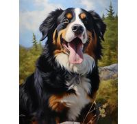YarnAdventures Kit de Peinture à l'huile sur Toile Bricolage,Animal Chien Bouvier Bernois,Peinture par Numéro Adulte,Kit de Peinture Acrylique pour Loisir Créatif,40x50cm sans cadre