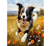 YarnAdventures Paysage de prairie fleurie kit de Peinture à l'huile sur Toile par numéro,animal chien border collie,Peinture par Numéro Adulte,Enfants,DIY kit creatif adulte,40x50cm sans cadre