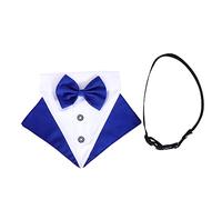 YARNOW 1 Ensemble Bavoir pour Animaux De Compagnie Chien Nuit Jouet pour Enfants Chemise De Mariage pour Animaux De Compagnie Collier pour Animaux De Compagnie Serviette Turban