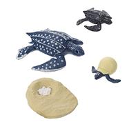 YARNOW 1 Ensemble Modèles de Tortues Éducatif de Tortues Factice pour Apprentissage Cycle de Vie