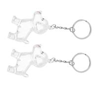 YARNOW 2 Pièces Porte-clés Mémorial pour Poils de Chien Boîte Transparente pour Souvenirs Animaux Accessoire et Portable pour Clé ou Commémoratif pour Amoureux des Chiens