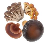 YARNOW 4 Pièces Modèles de Cycle Champignons Éducatif pour Cognitifs sur Cycle de Vie Champignon Apprentissage
