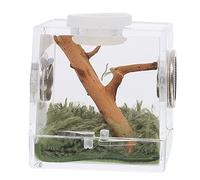 YARNOW Boîte De 5 Araignées Sauteuses en Acrylique Abri pour Araignées Terrarium pour Escargots Mangeoire pour Insectes