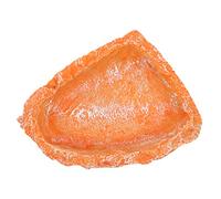 YARNOW Bol à Eau pour Serpent Support à Eau pour Reptile Bol De Nourriture pour Terrarium Mangeoire pour Tortue pour Tortue Support Alimentation pour Reptile