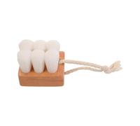 YARNOW Brosse de Visage en Bois de Hêtre Naturel Poils Souples Nettoyage Précis et Massage Doux, Voyage et Rangement Boîte Transparente