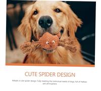 YARNOW Chien Chiot Toile Araignée Corde Halloween Interactif pour Mâcher et Stimuler Intelligence des Animaux