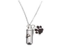 YARNOW Collier de Cendres Urnes pour Animaux de Jardin Chien Soucoupe Collier urne Animal Collier Souvenir Animal Pendentif de crémation pour Chien Collier urne pour Animaux de Compagnie