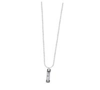 YARNOW Collier Urne Funéraire Acier Inoxydable avec Pendentif Forme de Bouteille Parfumée Transparent Urne Crémation pour Cendres Livré avec Entonnoir Commémoratif pour Famille et