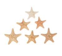 YARNOW Étoiles de Mer Naturelles Légères et Faciles à Transporter Rouges 6 Pièces Couleur Aléatoire pour Décoration DIY pour Aménagement Paysager D'aquarium et Scènes de Plage