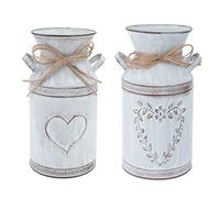 YARNOW Lot de 2 vases à Fleurs Vintage rustiques Style Maison de Campagne Vase décoratif rétro en métal Seau français Shabby Chic Pot de Fleurs Pot de Seau à en Fer Décoration de Table