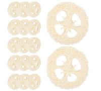 YARNOW Mâcher pour Hamster Lot de 20 Pièces en Loofah Naturel Forme Créative pour Limer Les Dents et Attirer L'attention des Petits Animaux